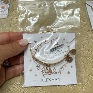 Alex and Ani Gold and Silver Charm Bracelet
